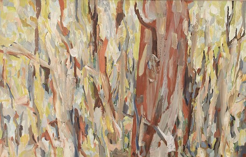 James Barker, Bush Abstract, 495x770cm, oil on canvas web image