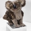 Frog Koala 