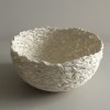 Jo Wood, Folded Bowl 2      