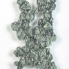 Swarm 