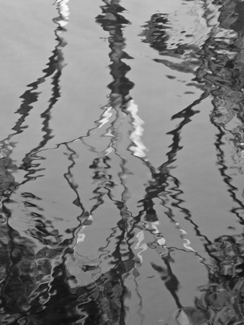 Unreliable Witness - Head On Photo Festival