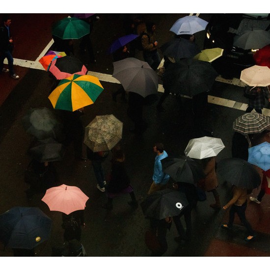 Umbrella Crossing - George Street, Sydney, NSW 2012 