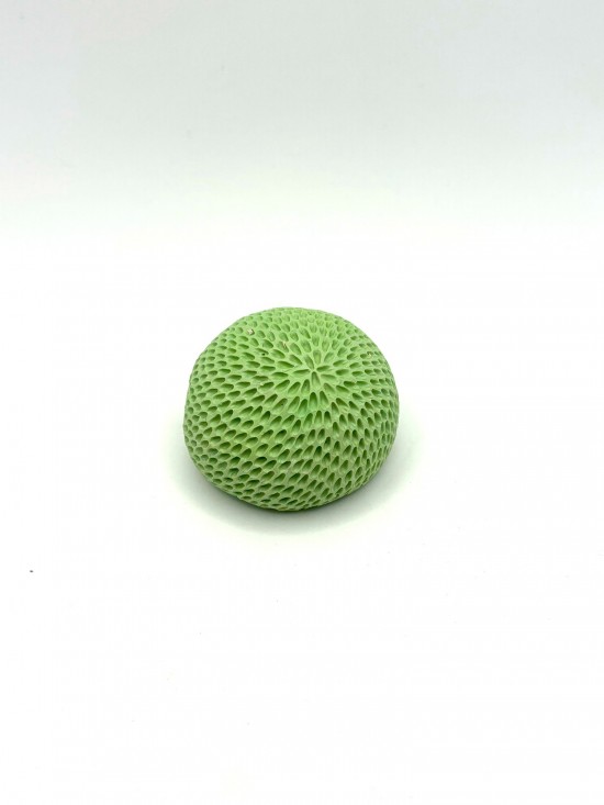 Green pompom 